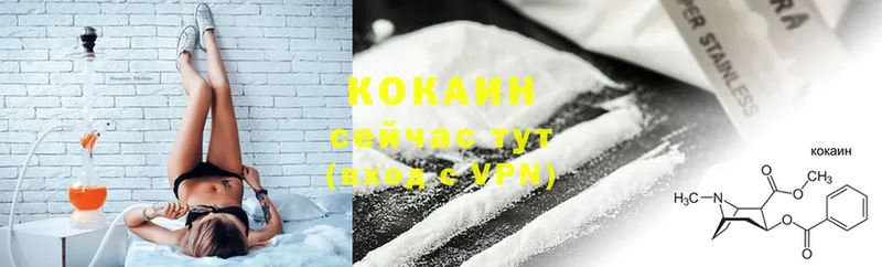 blacksprut как зайти  Дубна  COCAIN Fish Scale 